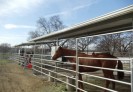Photo of Wheatland: Ranch